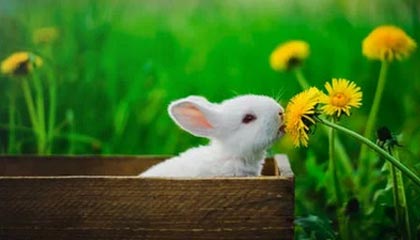 星空体育官网入口-中国女足接连爆出好消息 实力雄厚令人瞩目，中国女足近期